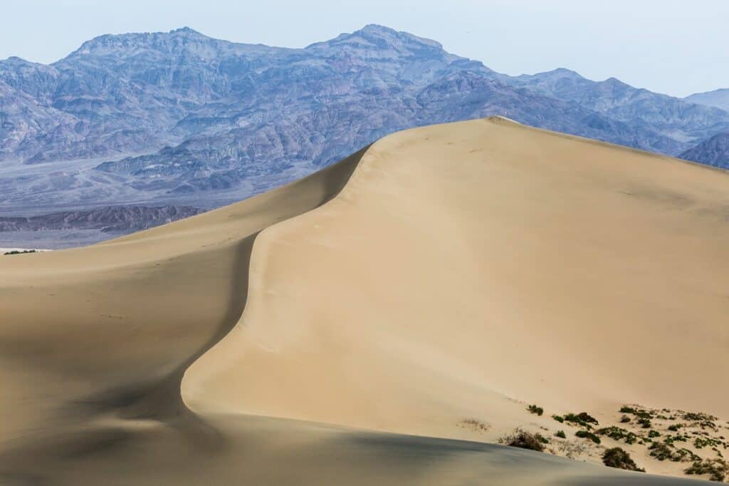 sand dune, desert, sahara