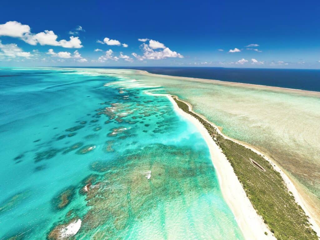 Aerial View of a Tropical Island