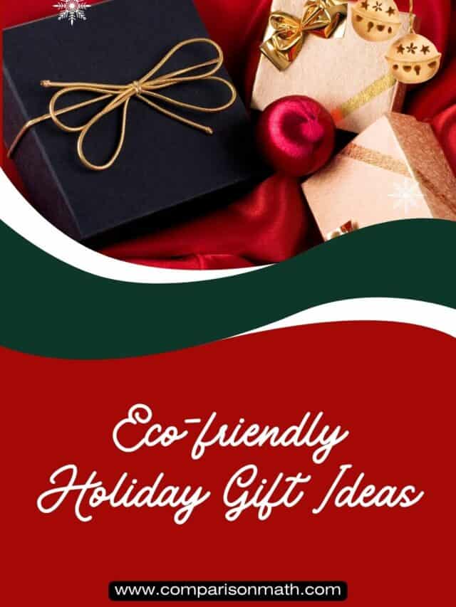 Eco-friendly Holiday Gift Ideas