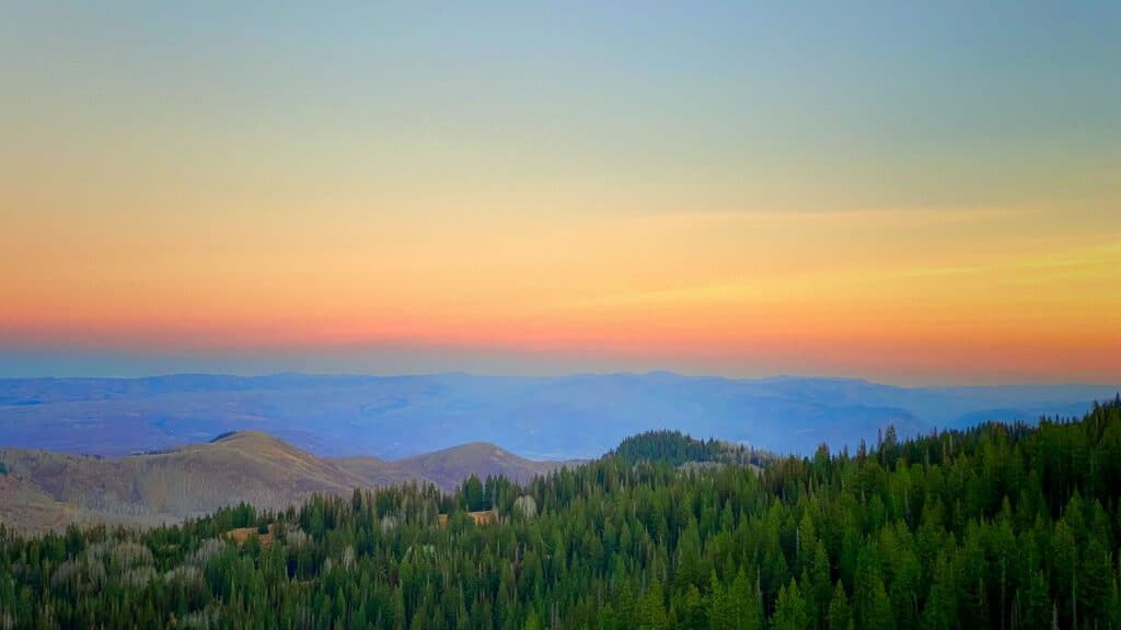 green trees on mountain during daytime