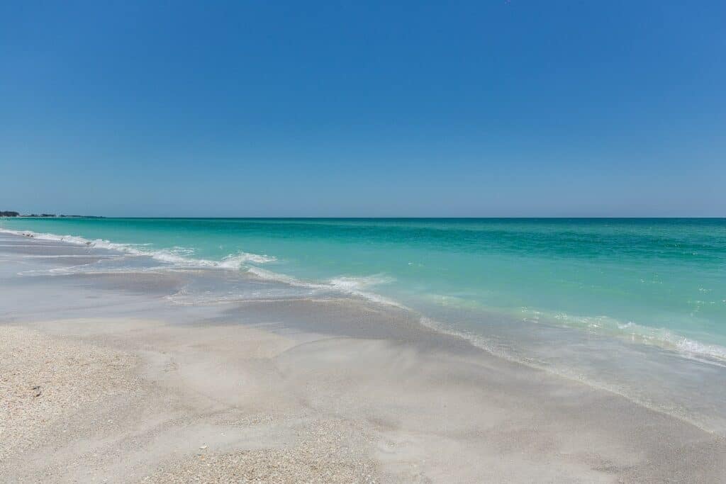 empty seashore during daytime