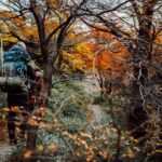 Osprey Farpoint 40 vs Patagonia Black Hole MLC 45