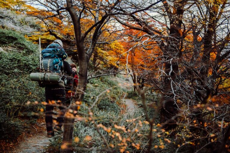 Osprey Farpoint 40 vs Patagonia Black Hole MLC 45