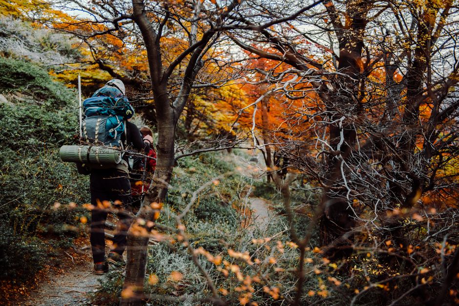 Osprey Farpoint 40 vs Patagonia Black Hole MLC 45
