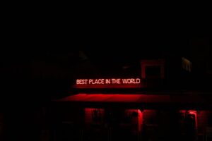 best red light therapy panels