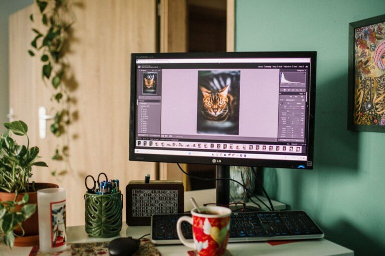 best lightroom alternatives without subscription 2026