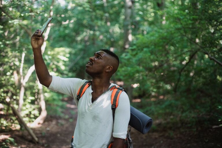 Best Mobile Bird Identification Apps 2026