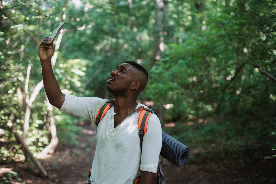 Best Mobile Bird Identification Apps 2026