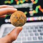 Best XRP Wallets 2026