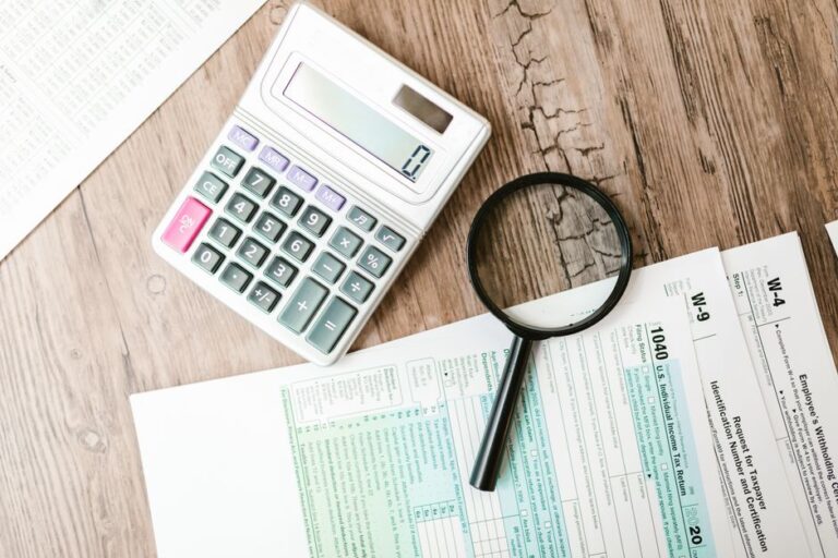 IRS audit defense software