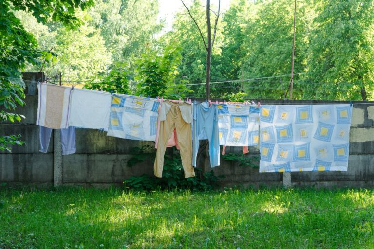 travel laundry detergent sheets