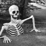Best Animatronic Halloween Props 2026