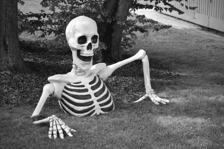 Best Animatronic Halloween Props 2026