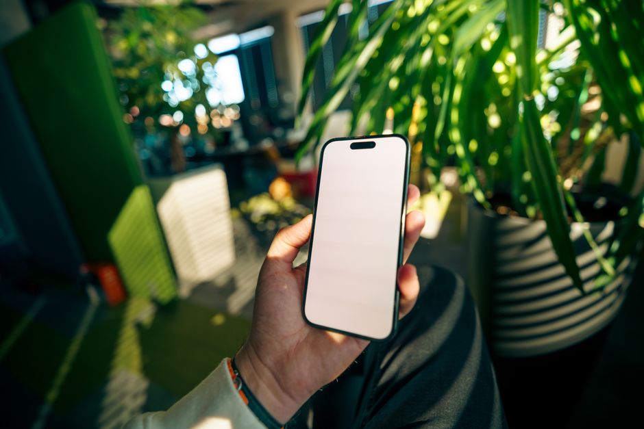 Best Mobile Plant Identifier Apps 2026