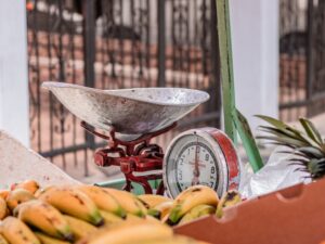 portable travel weighing scales 2026
