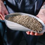 specialty coffee roaster marketplaces
