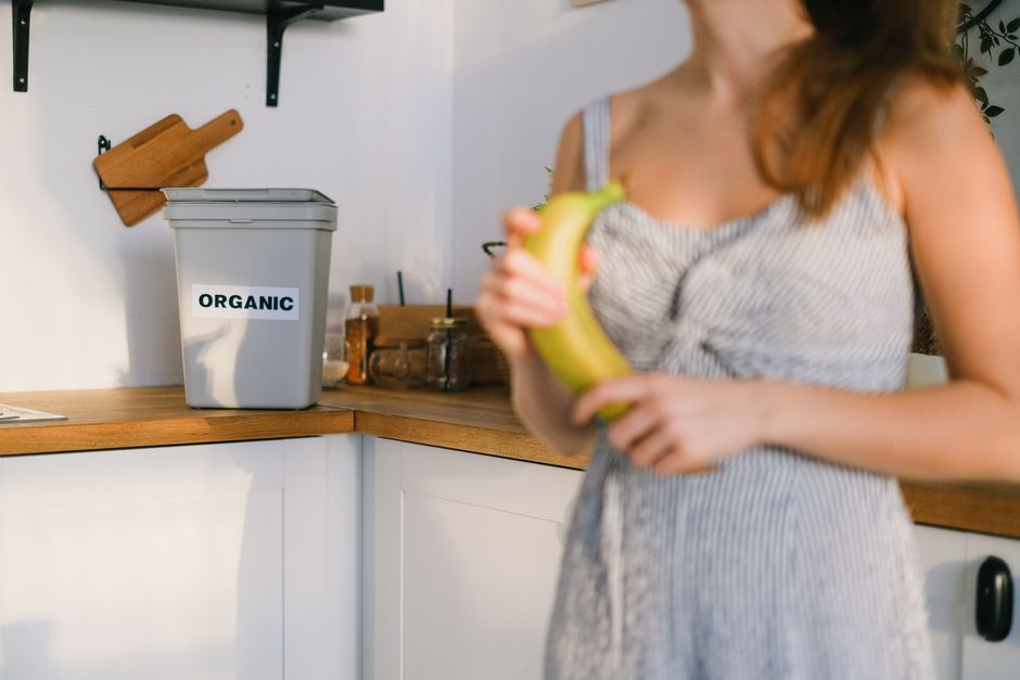 best home composting appliances 2026